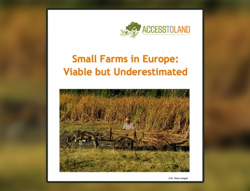 Small Farms in Europe: Viable but Underestimated